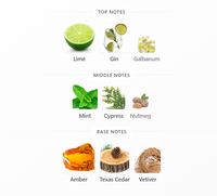 Royal Venture For Men Perfume – Long Lasting Fresh Woody Fragrance EDP 50ml