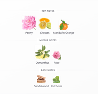 Desert Bloomy For Women | Elegant Floral Woody Eau de Parfum 50ml